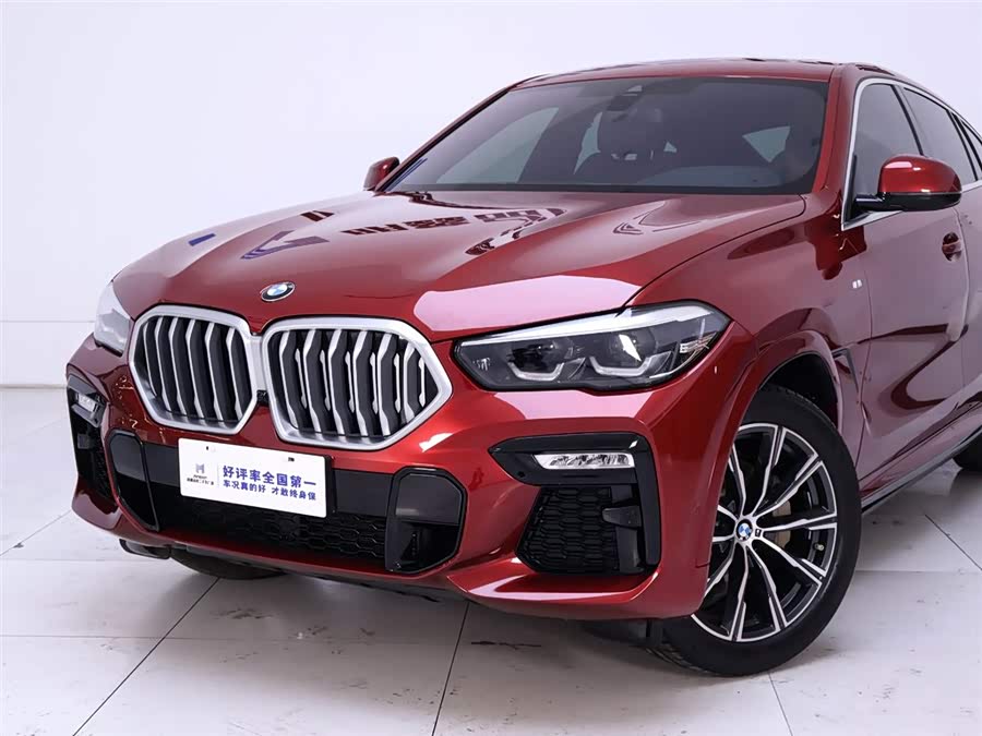 Used BMW X6 2019 2.0L AT