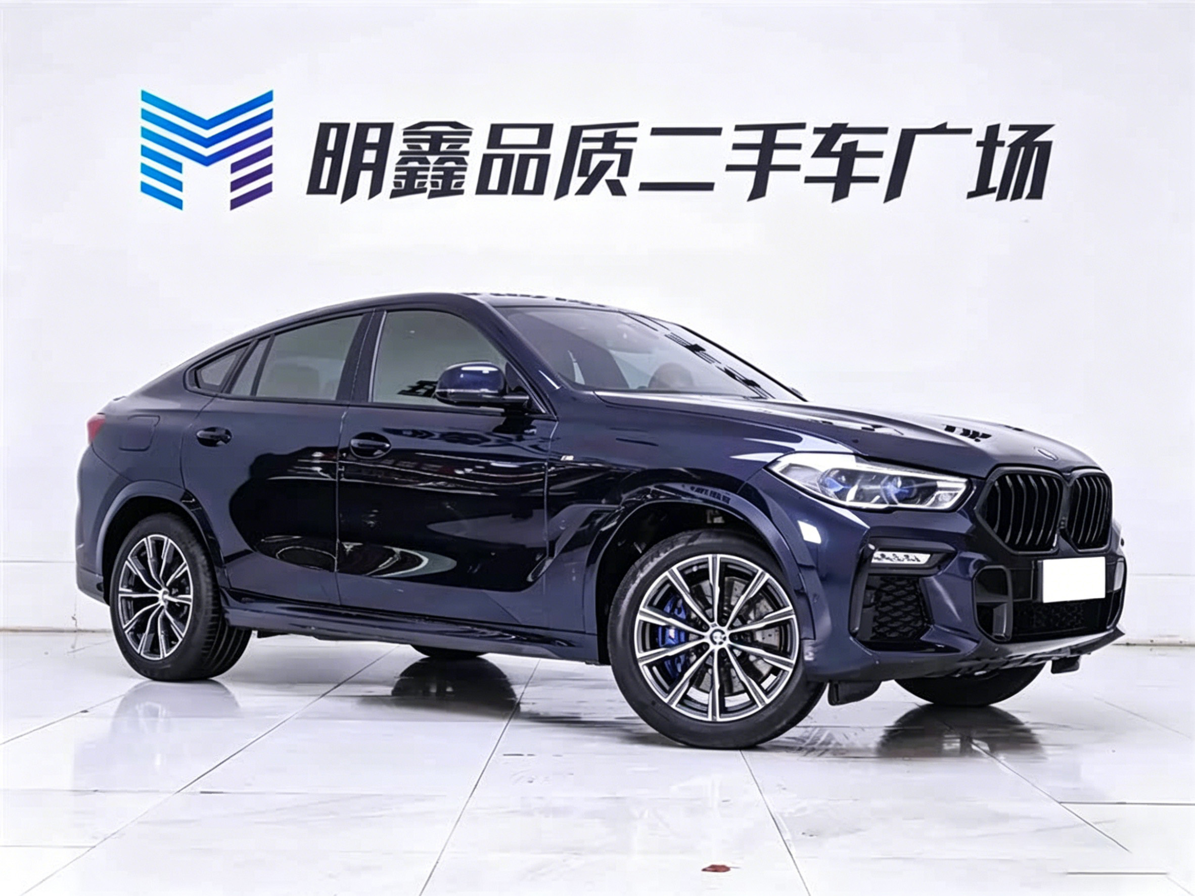 Used BMW X6 2020 2.0L AT