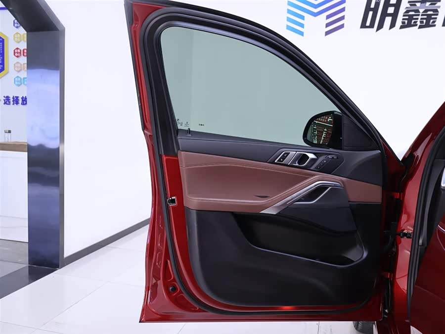 Used BMW X6 2019 2.0L AT