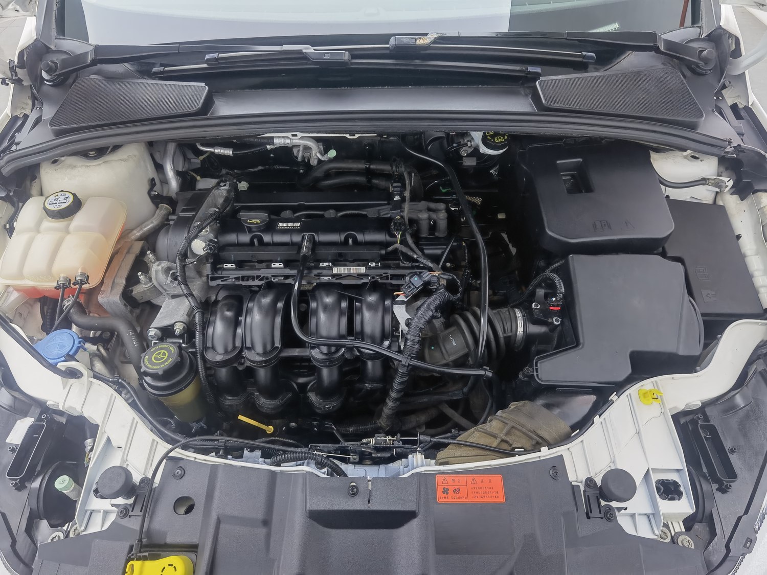Used Ford Focus 2017 1.6 MT