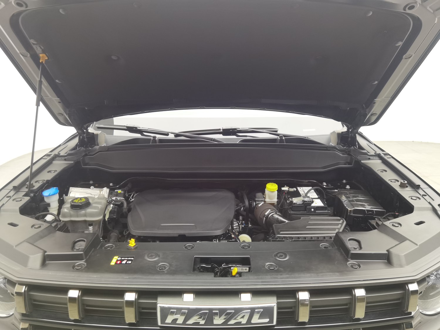 Used Haval Cool Dog 2022 1.5 AT