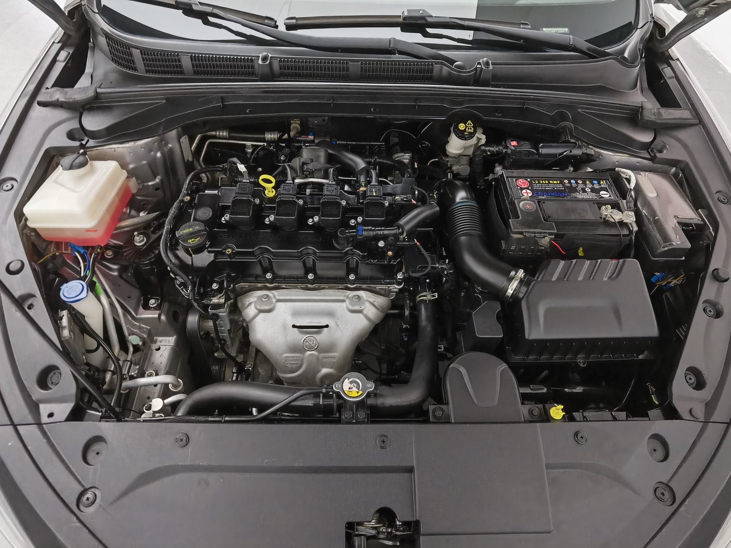 Used Changan Eado 2020 1.6 MT