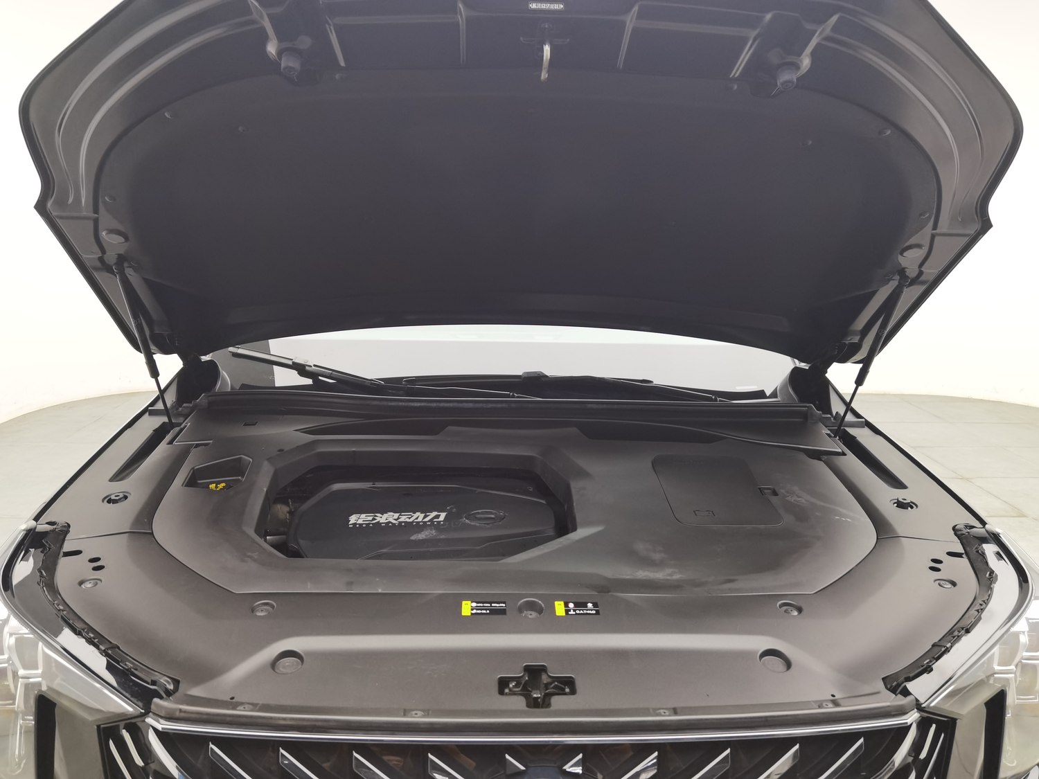 Used GAC Trumpchi GS8 2022 2.0 AT