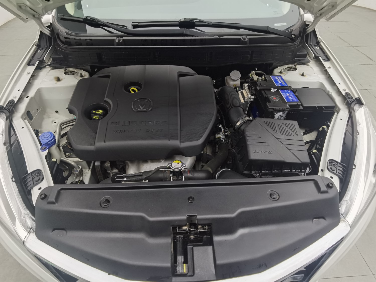 Used Changan Eado DT 2018 1.6 MT