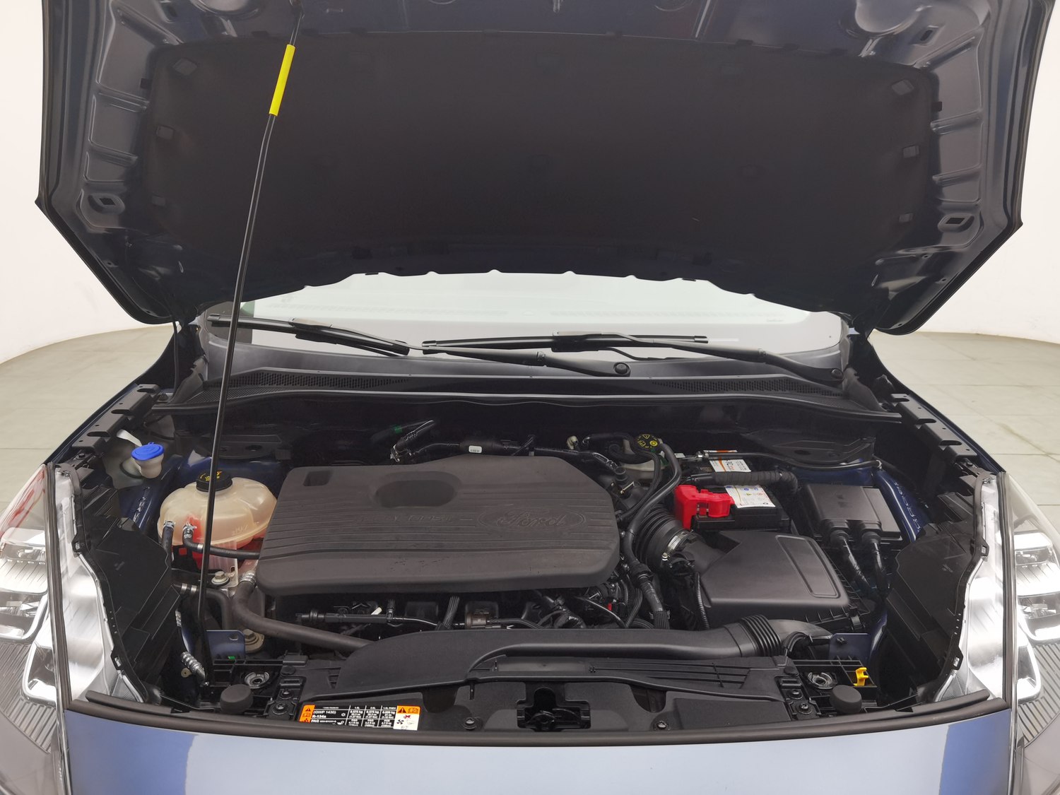 Used Ford Escape 2020 2.0 AT