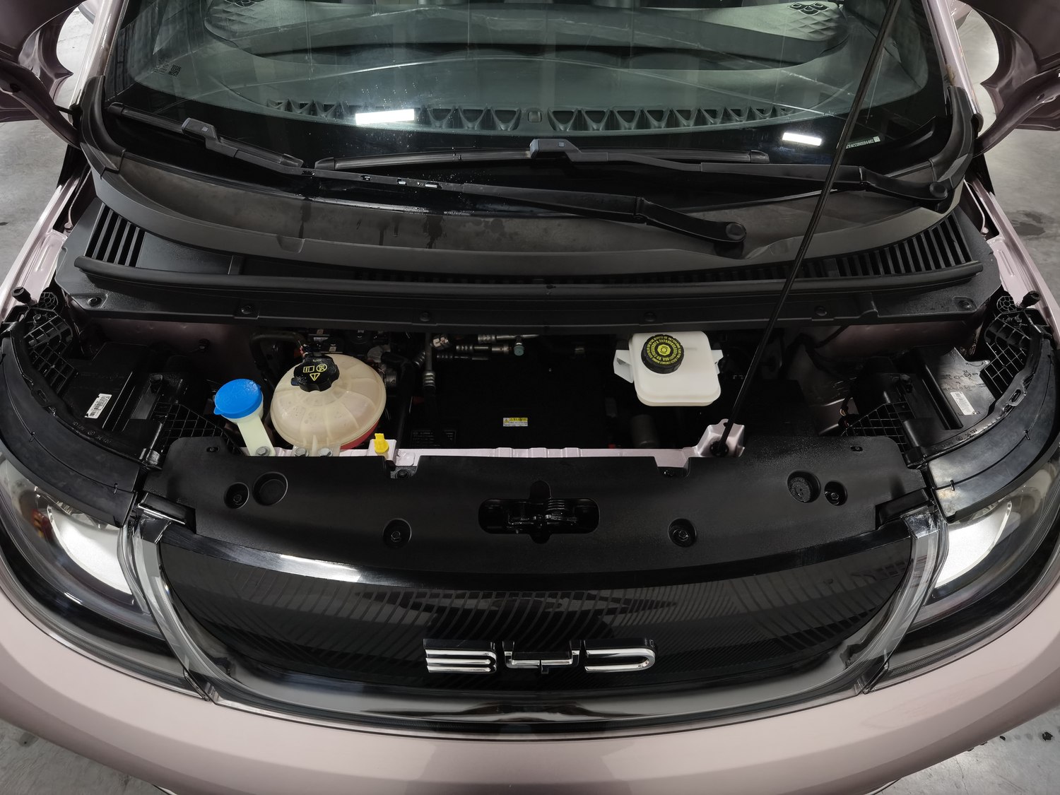 Used BYD Dolphin 2021