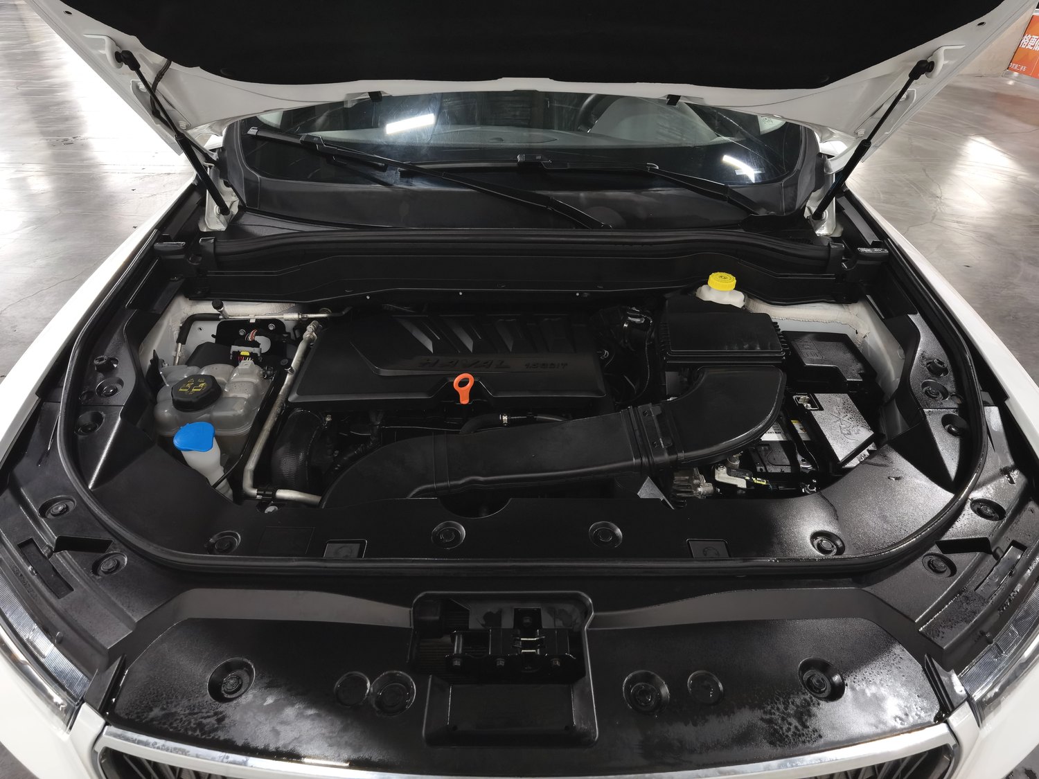 Used Haval H6 2021 1.5 AT