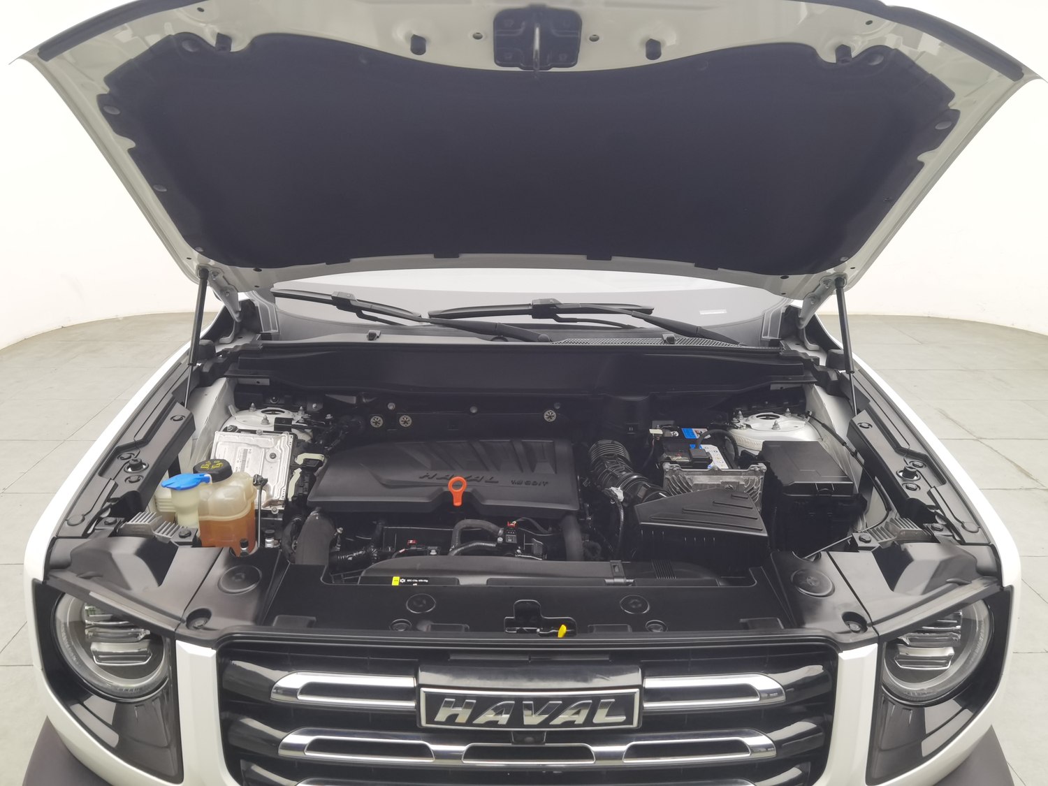 Used Haval Big Dog 2021 1.5 AT