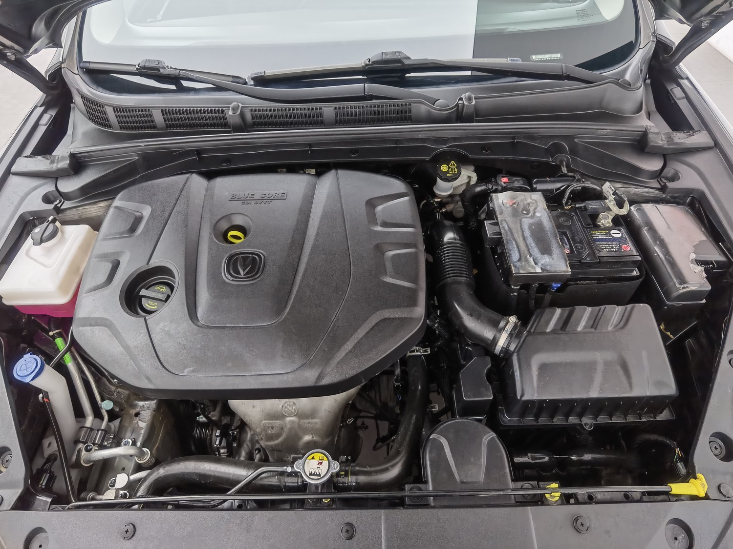 Used Changan Eado 2022 1.6 MT