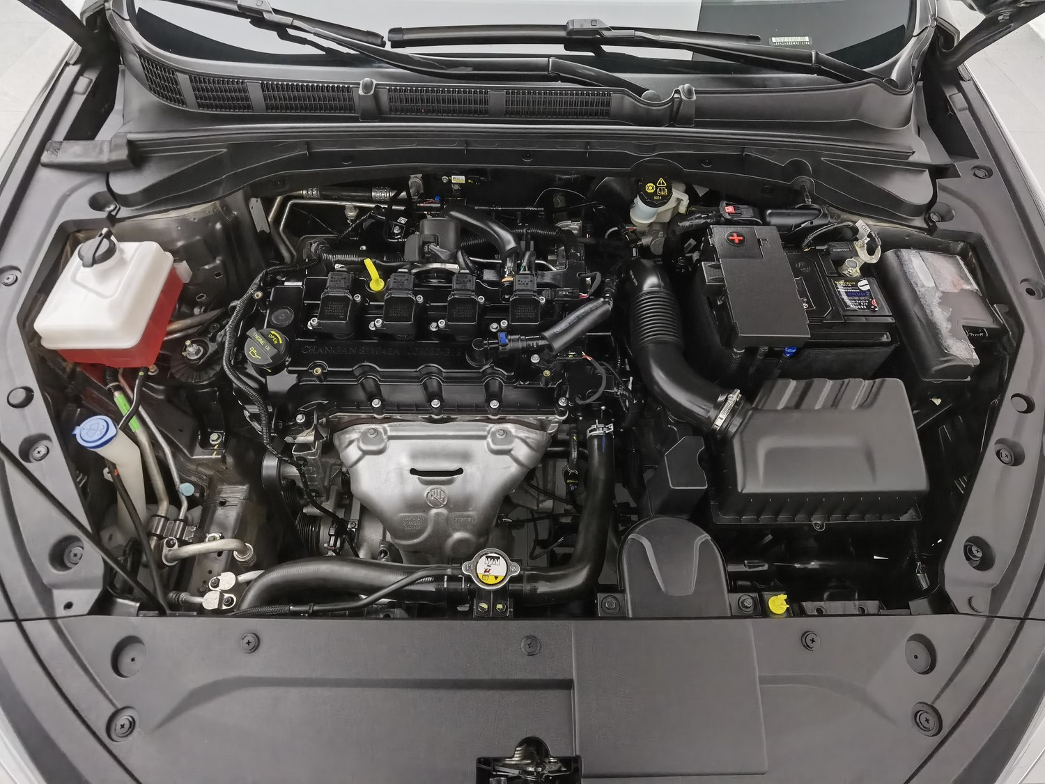 Used Changan Eado 2021 1.6 MT