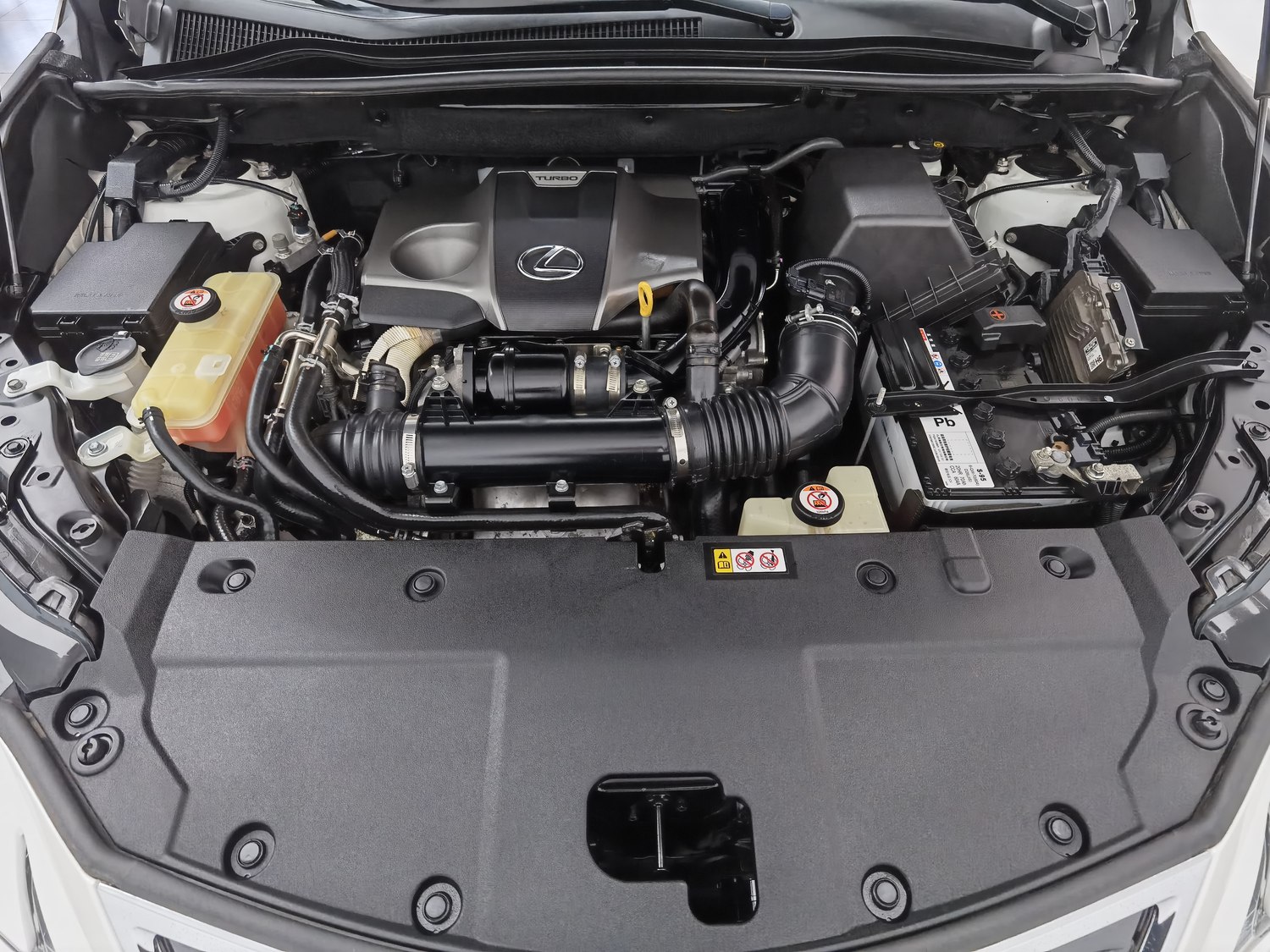 Used Lexus NX 2018 2.0 AT