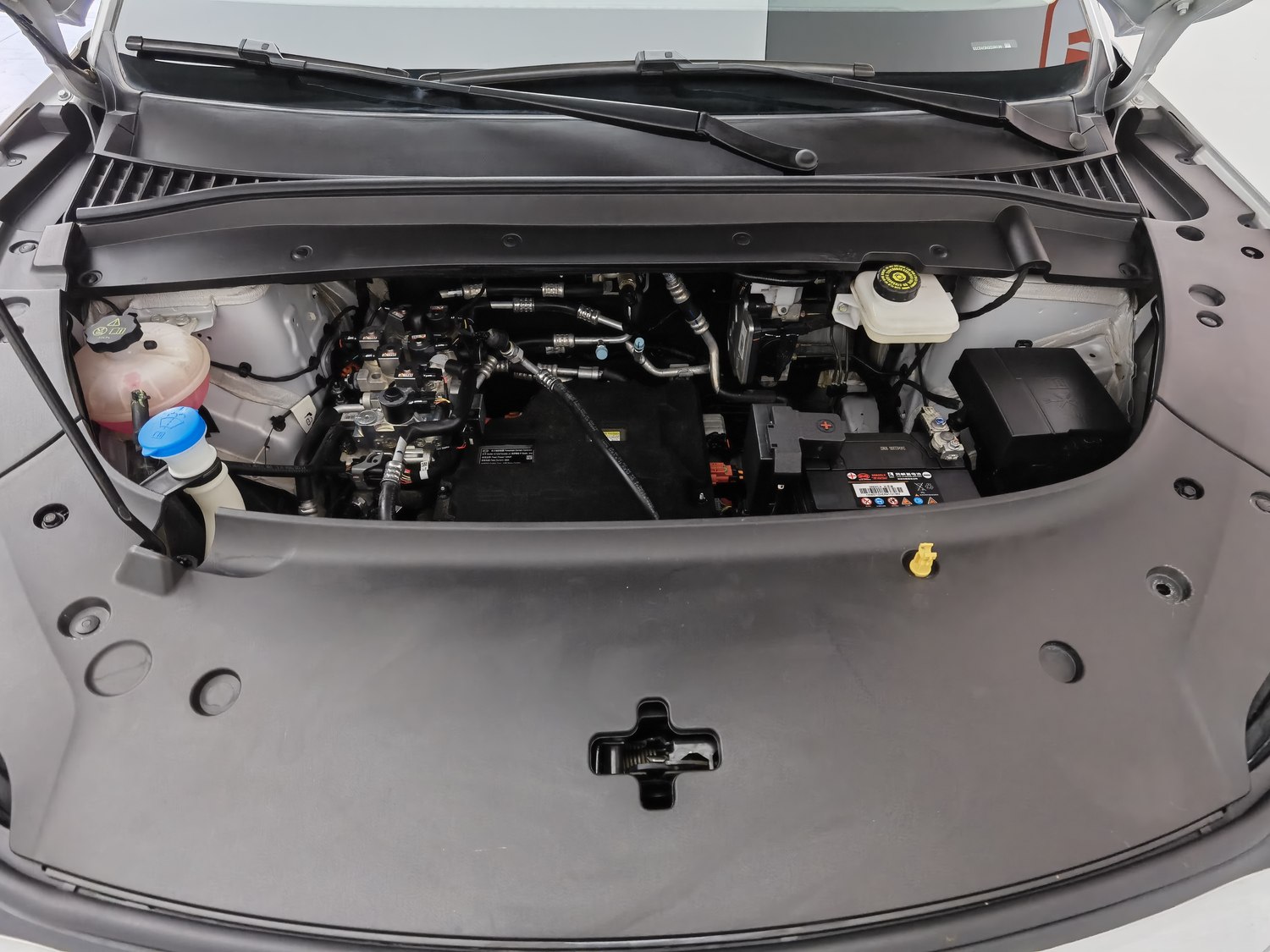 Used BYD Yuan PLUS 2024