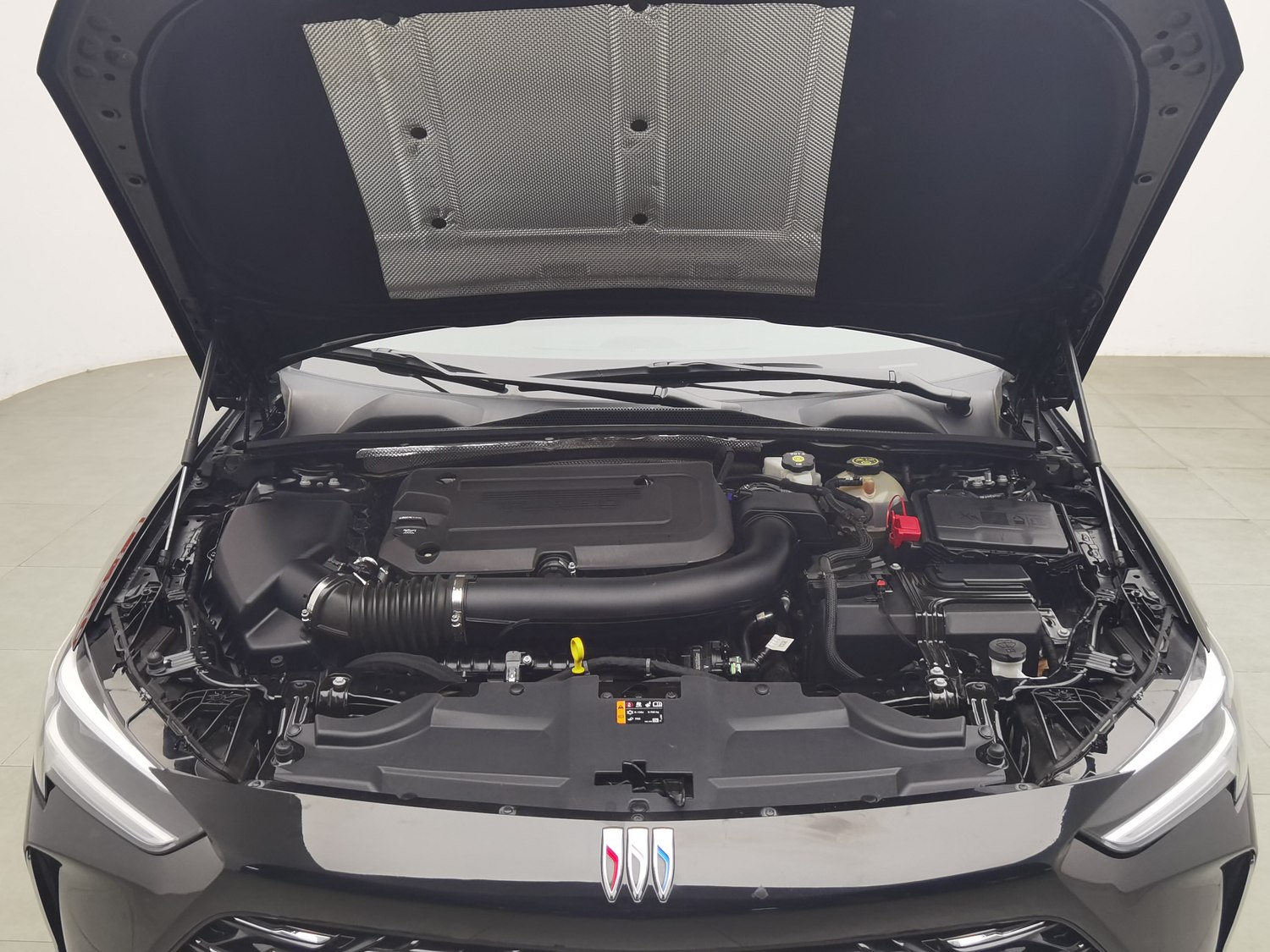 Used Buick Regal 2024 2.0 AT