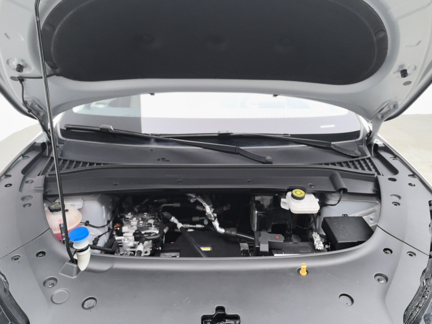 Used BYD Yuan PLUS 2023