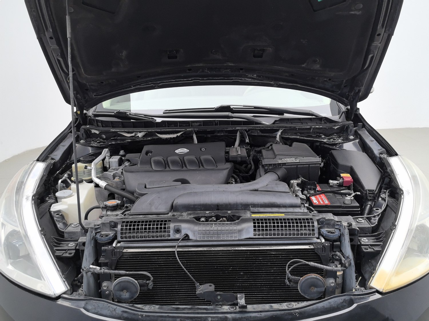 Used Nissan Teana 2008 2.0 AT