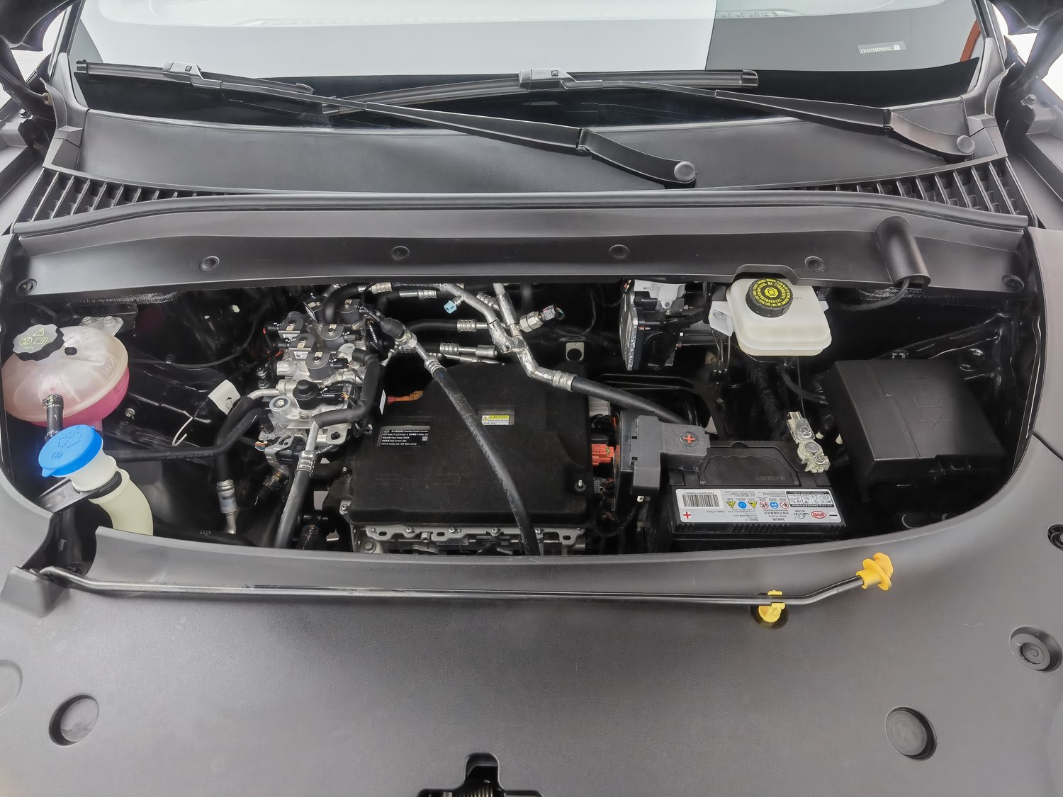 Used BYD Yuan PLUS 2024