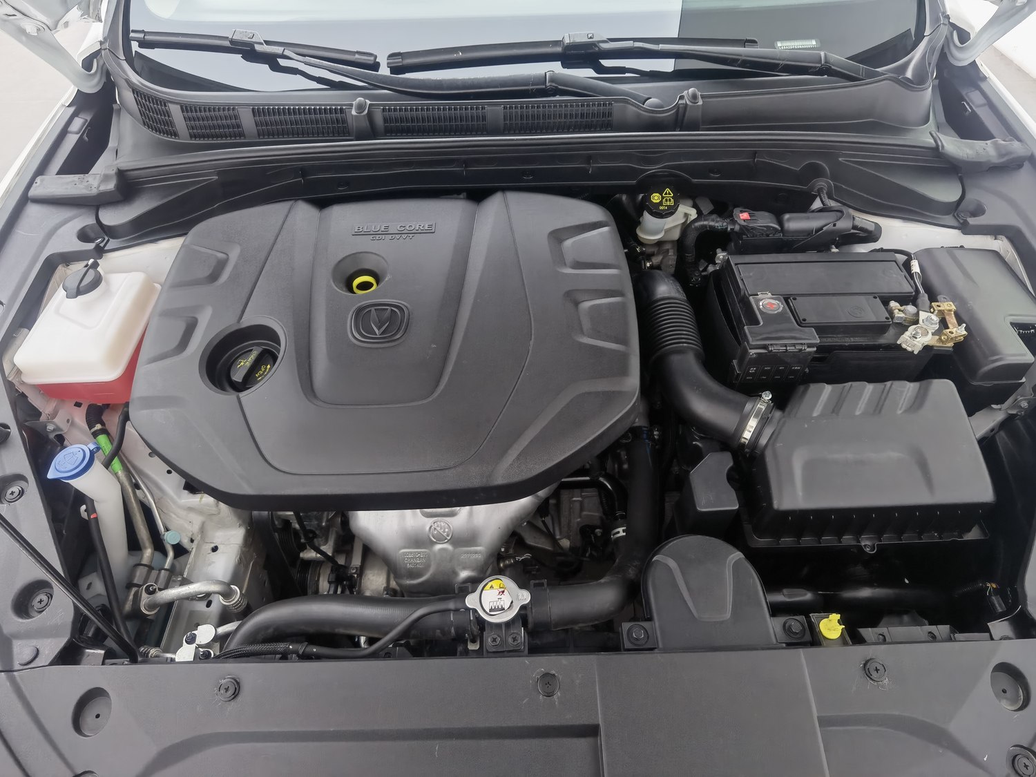 Used Changan Eado 2021 1.6 AT