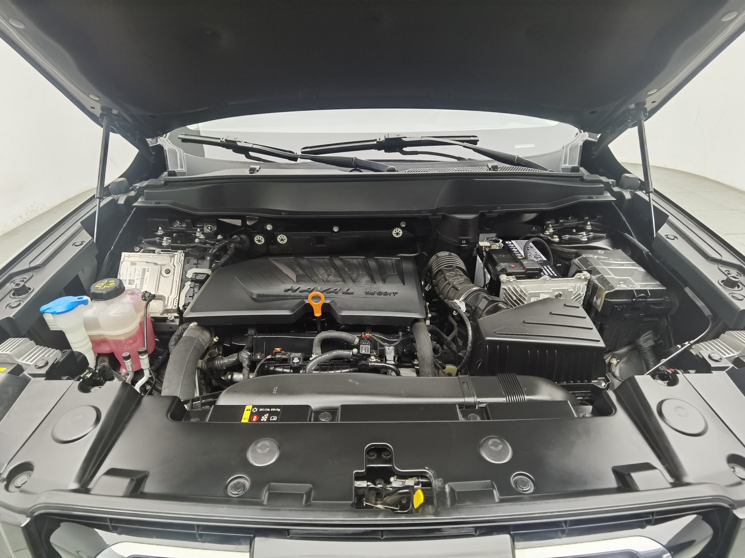 Used Haval Big Dog 2021 1.5 AT