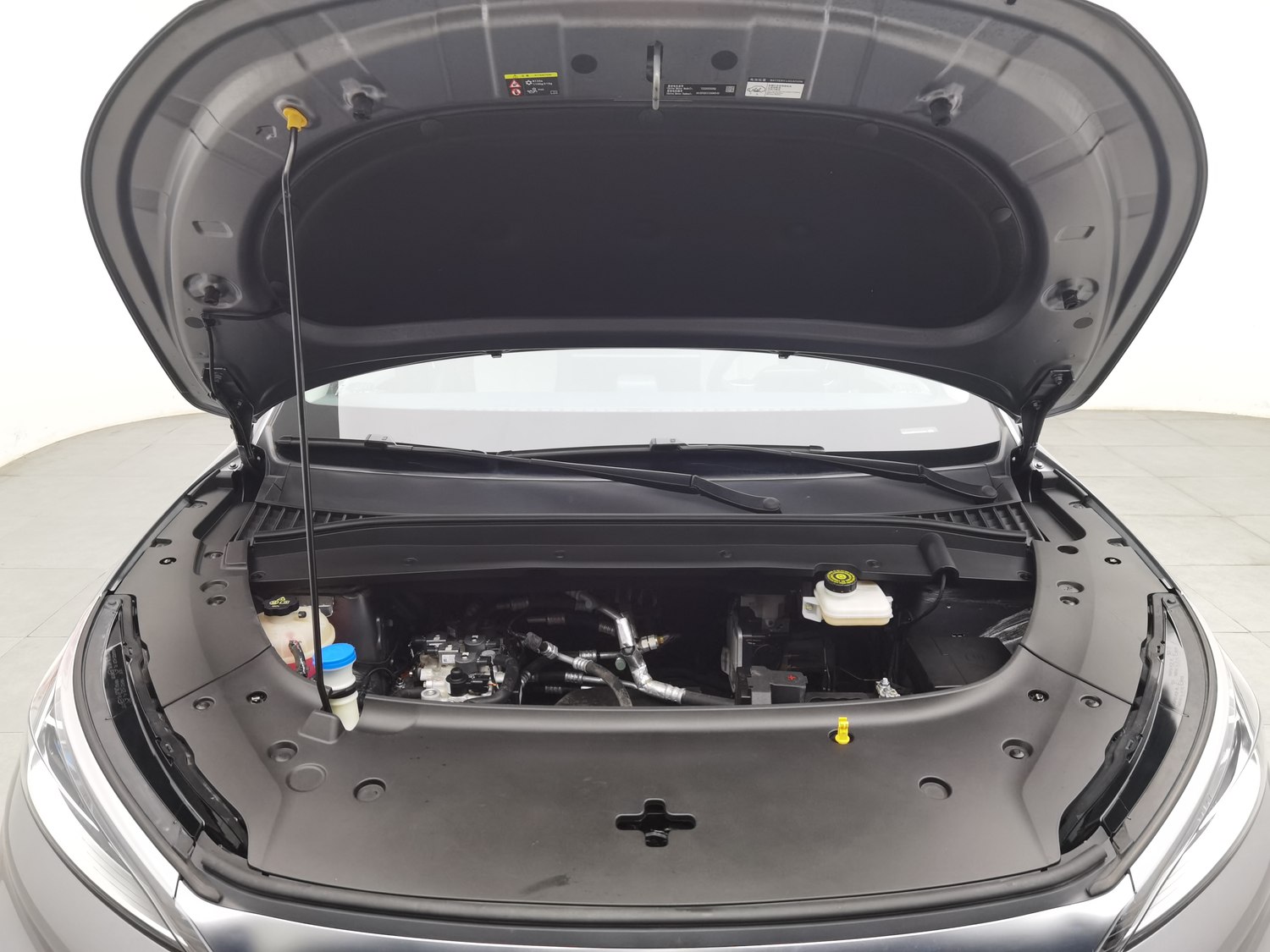 Used BYD Yuan PLUS 2022