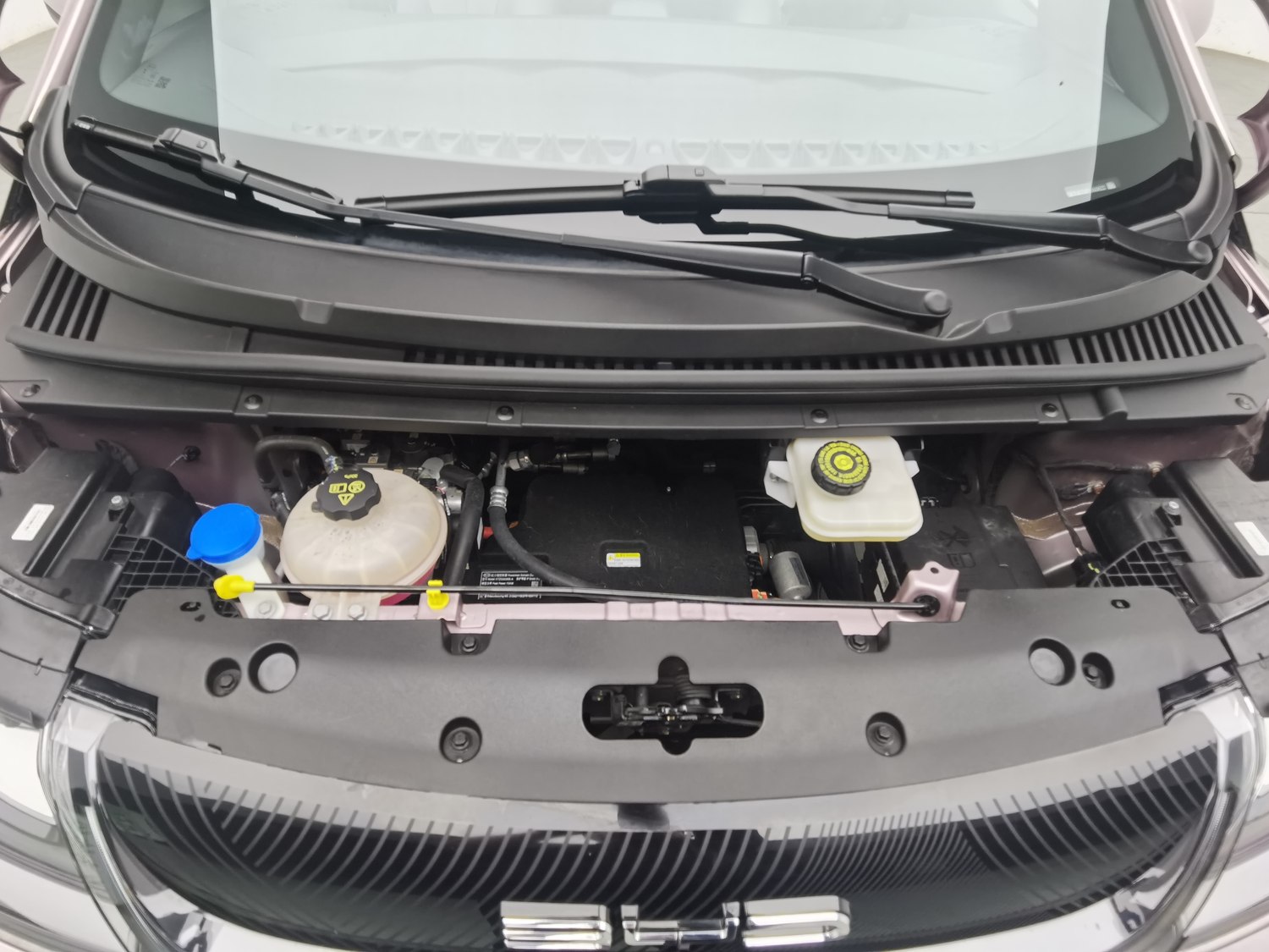 Used BYD Dolphin 2023