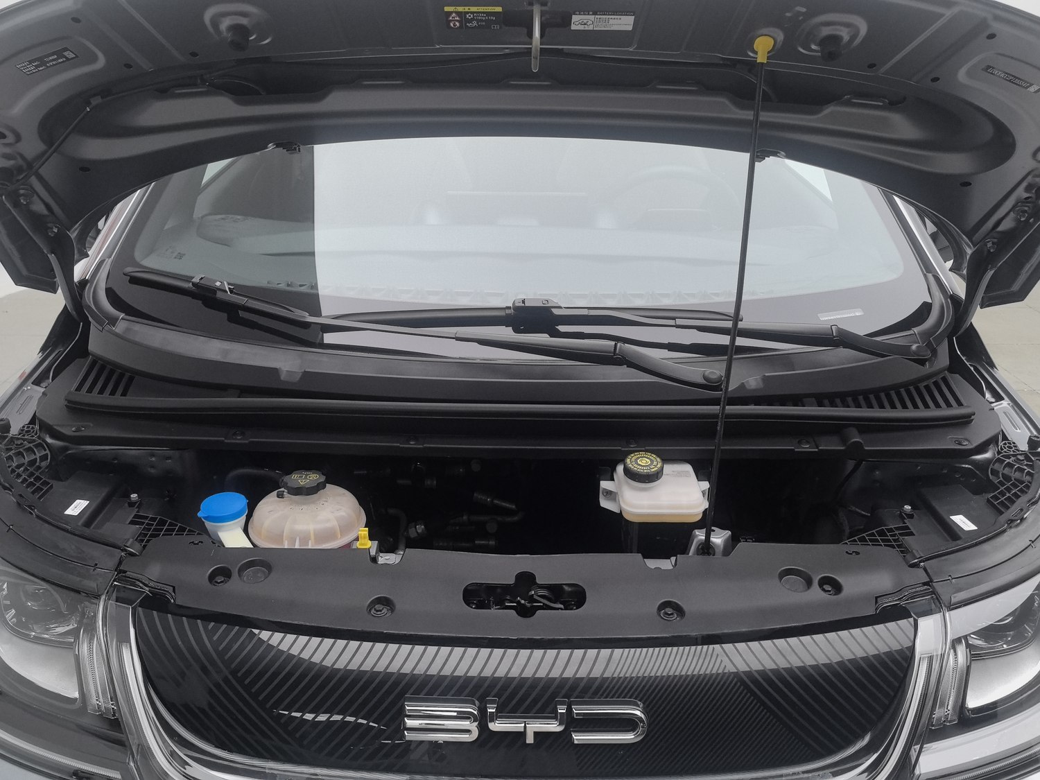 Used BYD Dolphin 2023