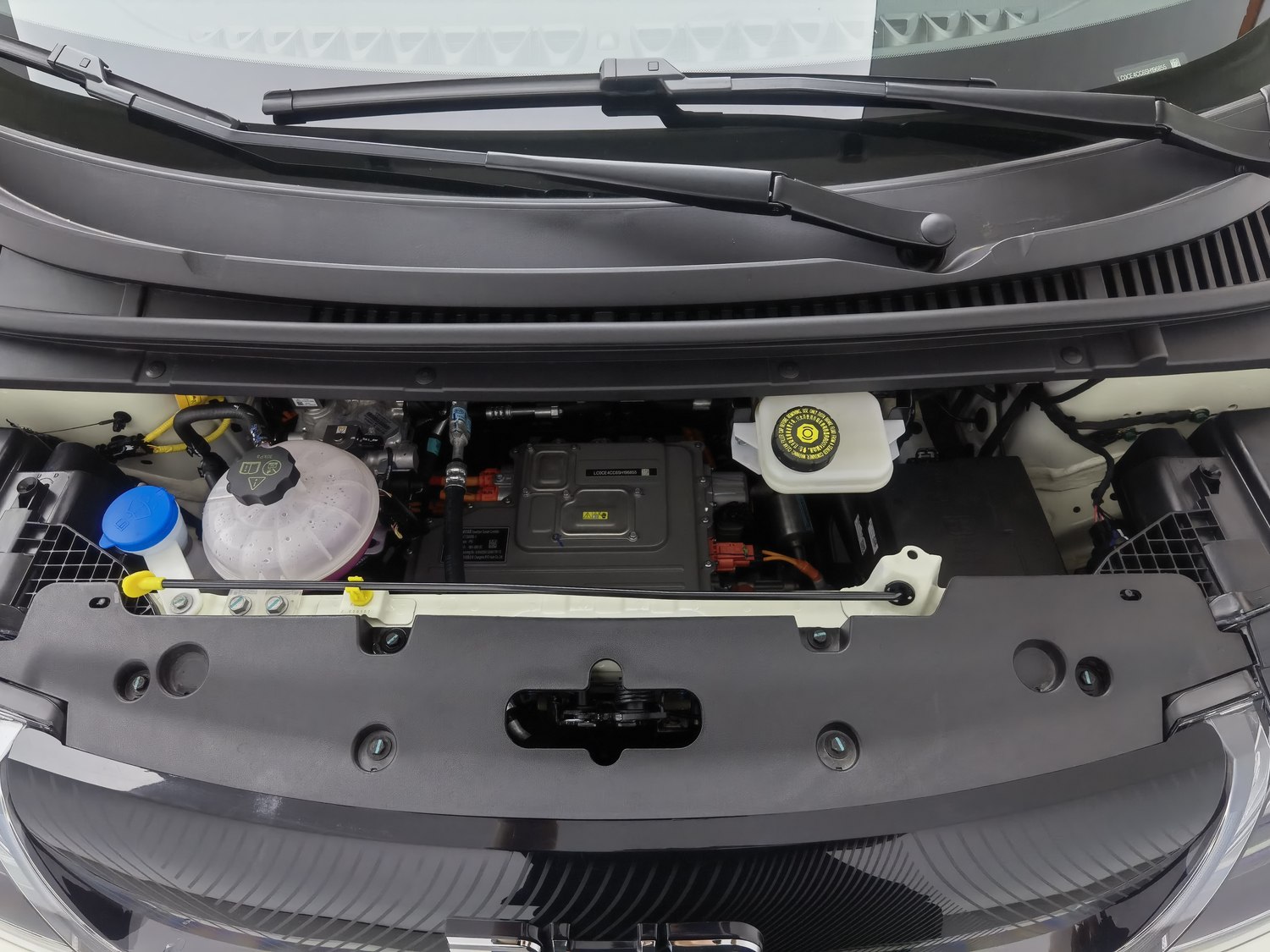 Used BYD Dolphin 2025