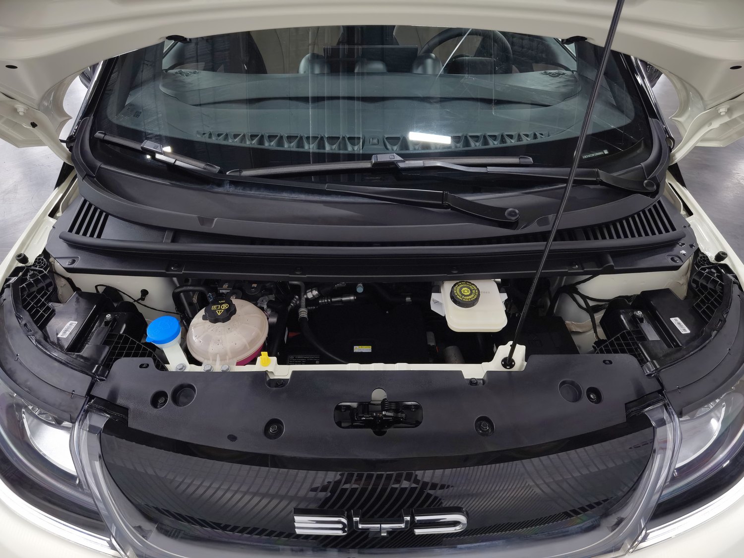 Used BYD Dolphin 2023