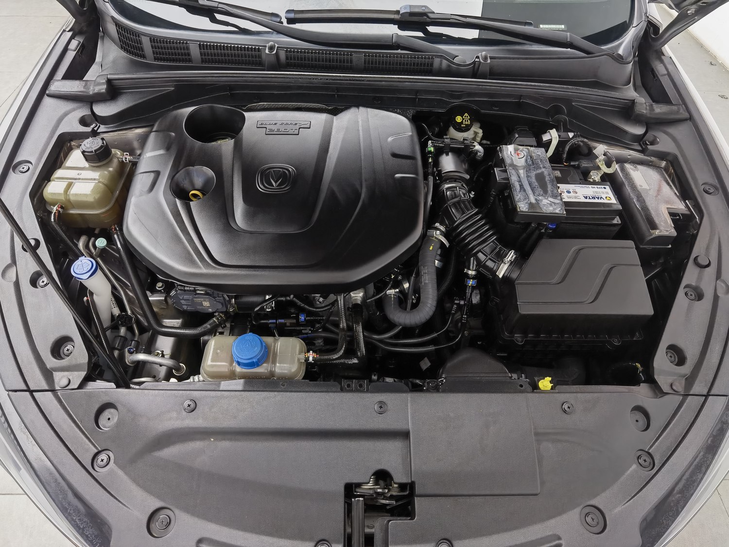 Used Changan Eado 2021 1.4 AT