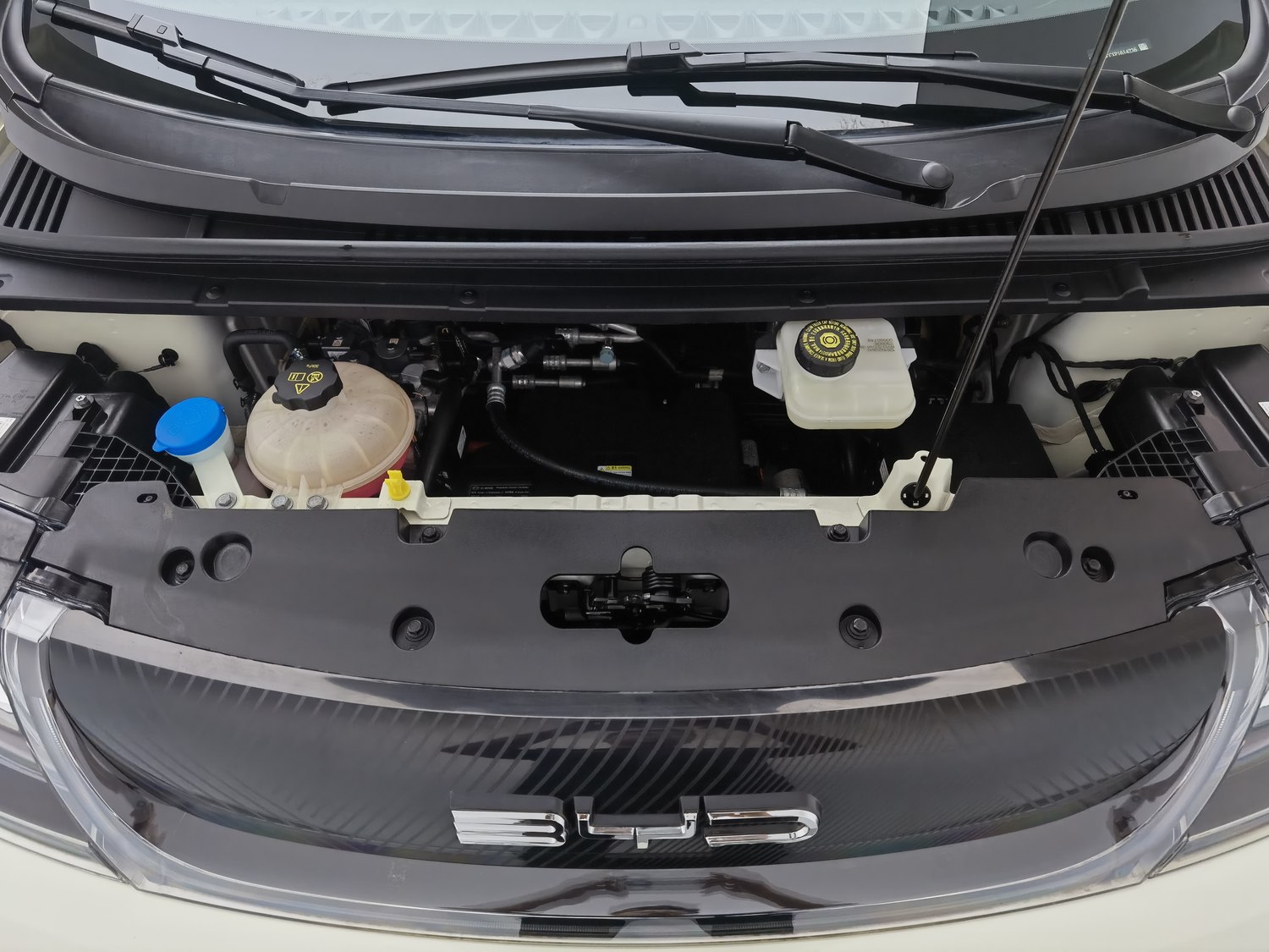 Used BYD Dolphin 2023