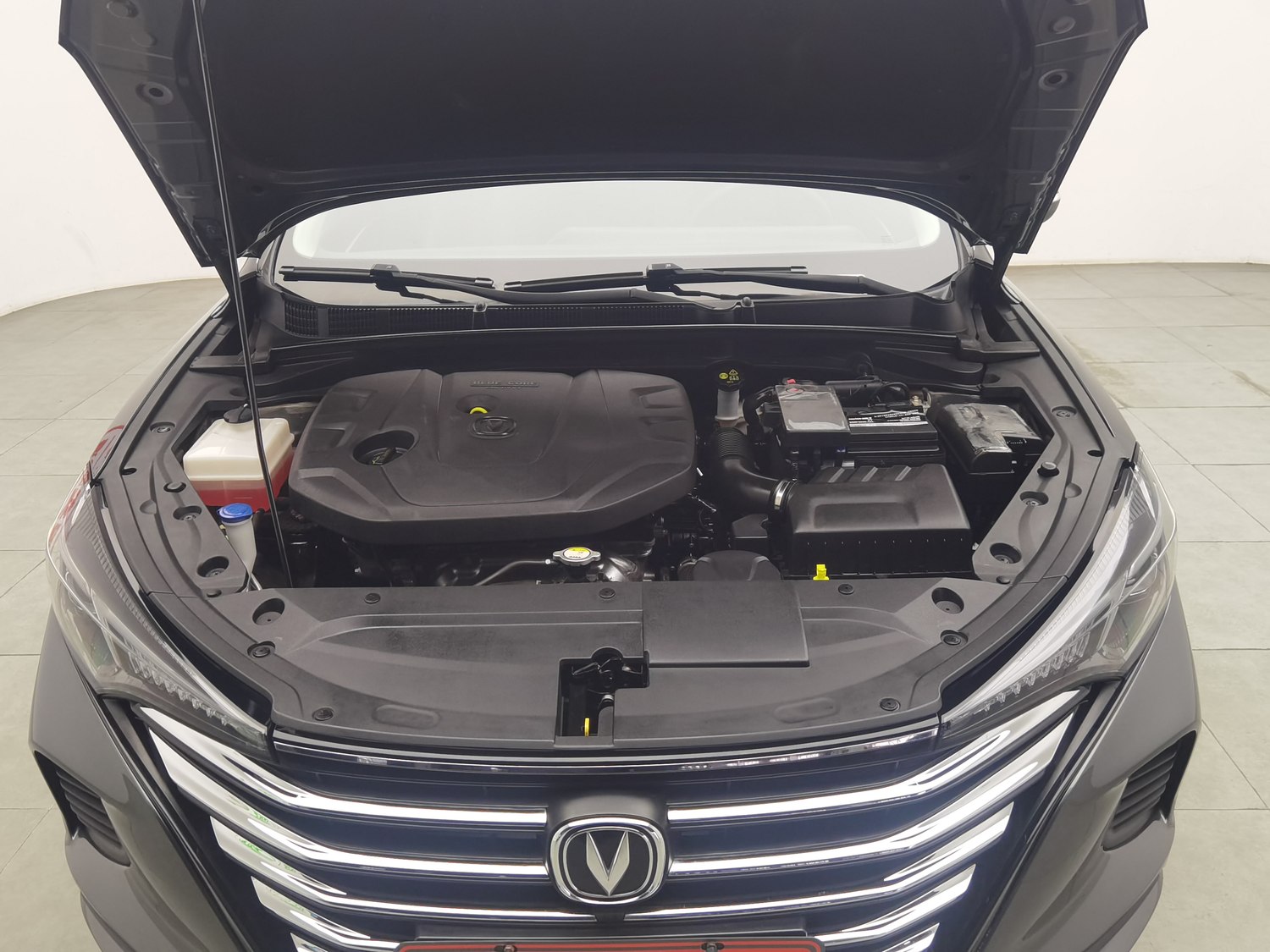 Used Changan Eado 2021 1.6 MT