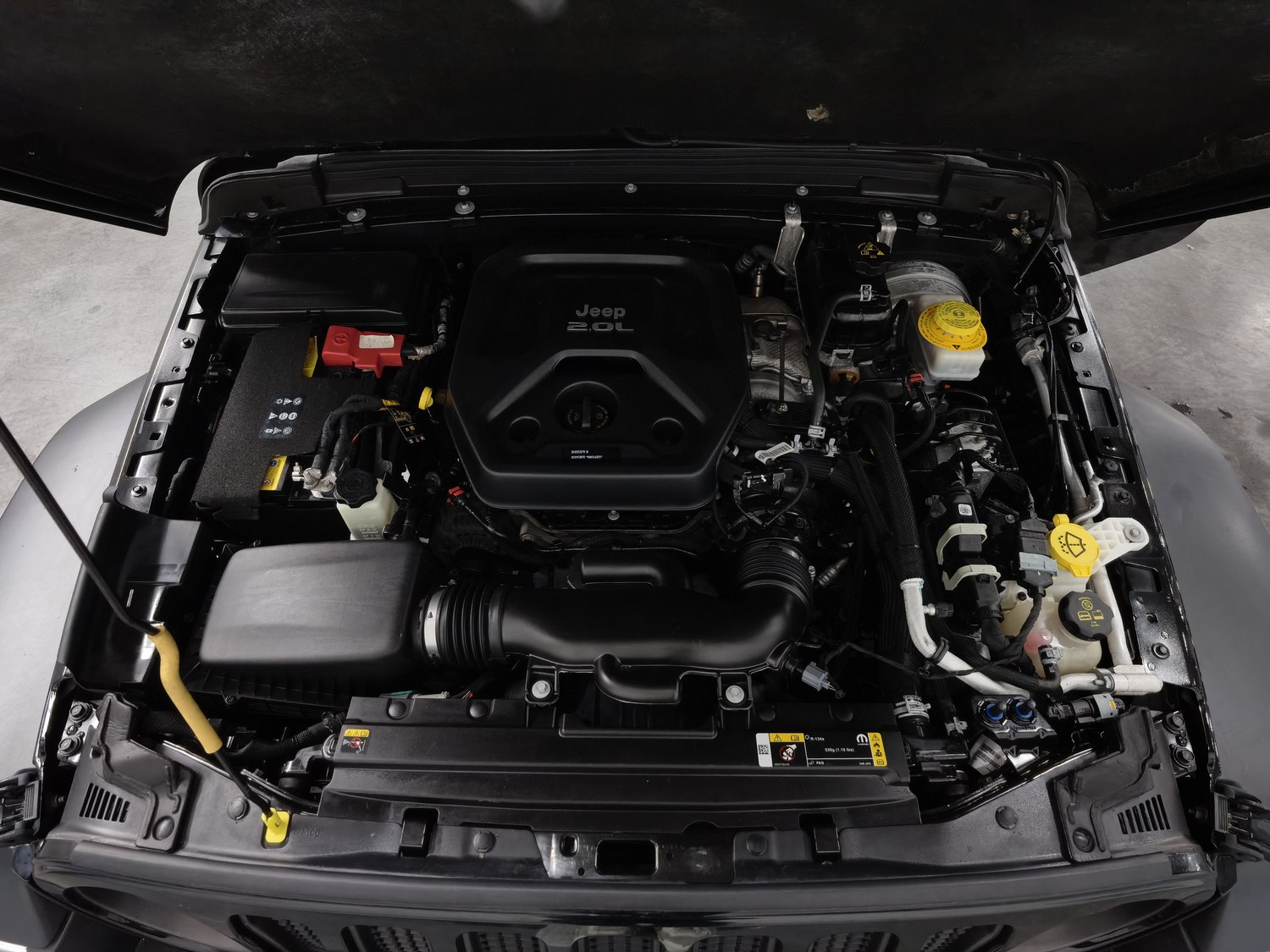 Used Jeep Wrangler 2021 2.0 AT