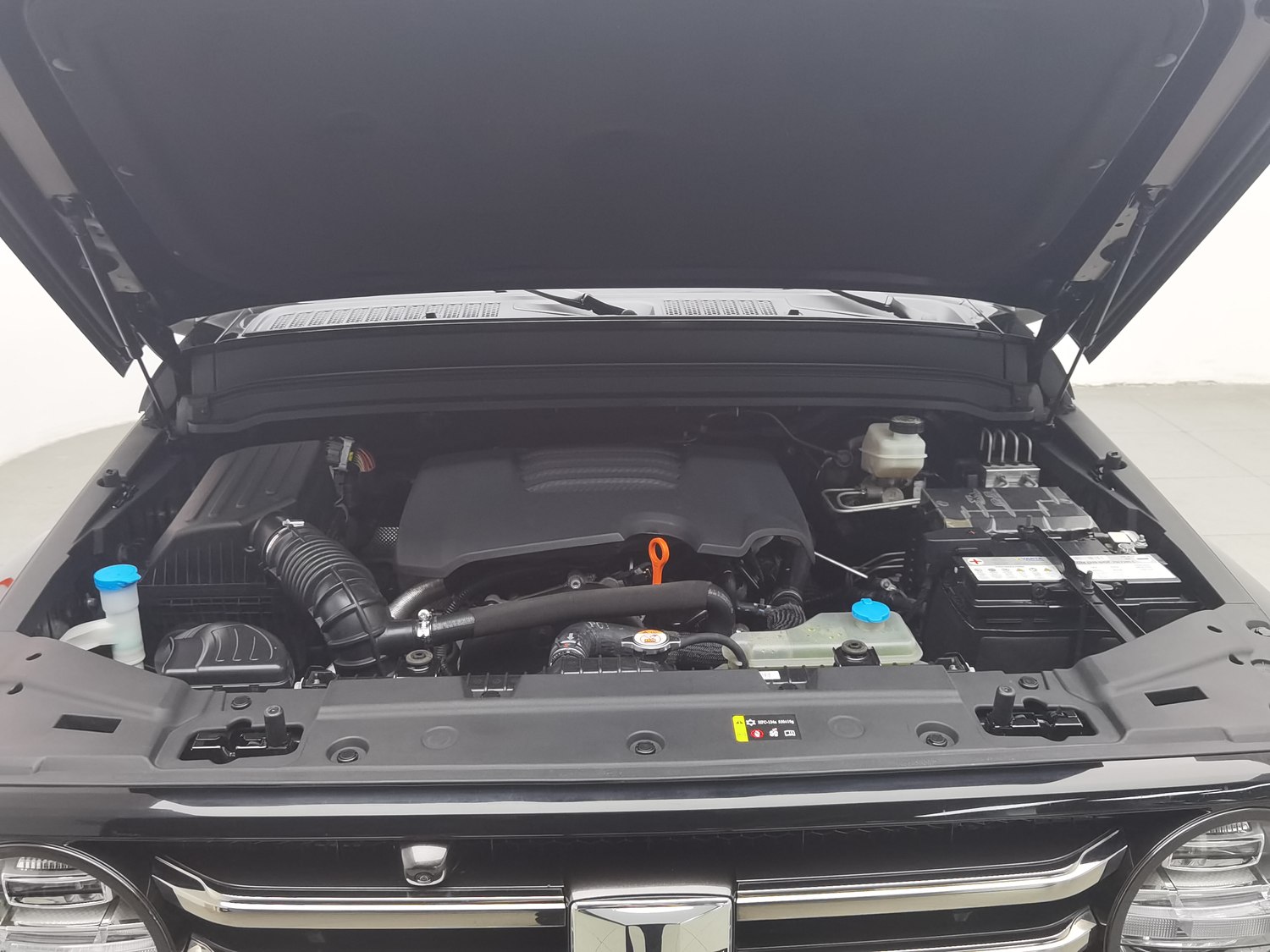 Used Tank 300 2021 2.0 AT