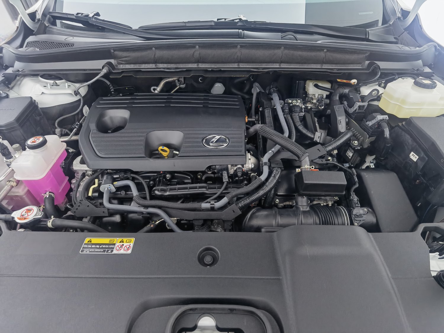 Used Lexus RX 2023 2.5 AT
