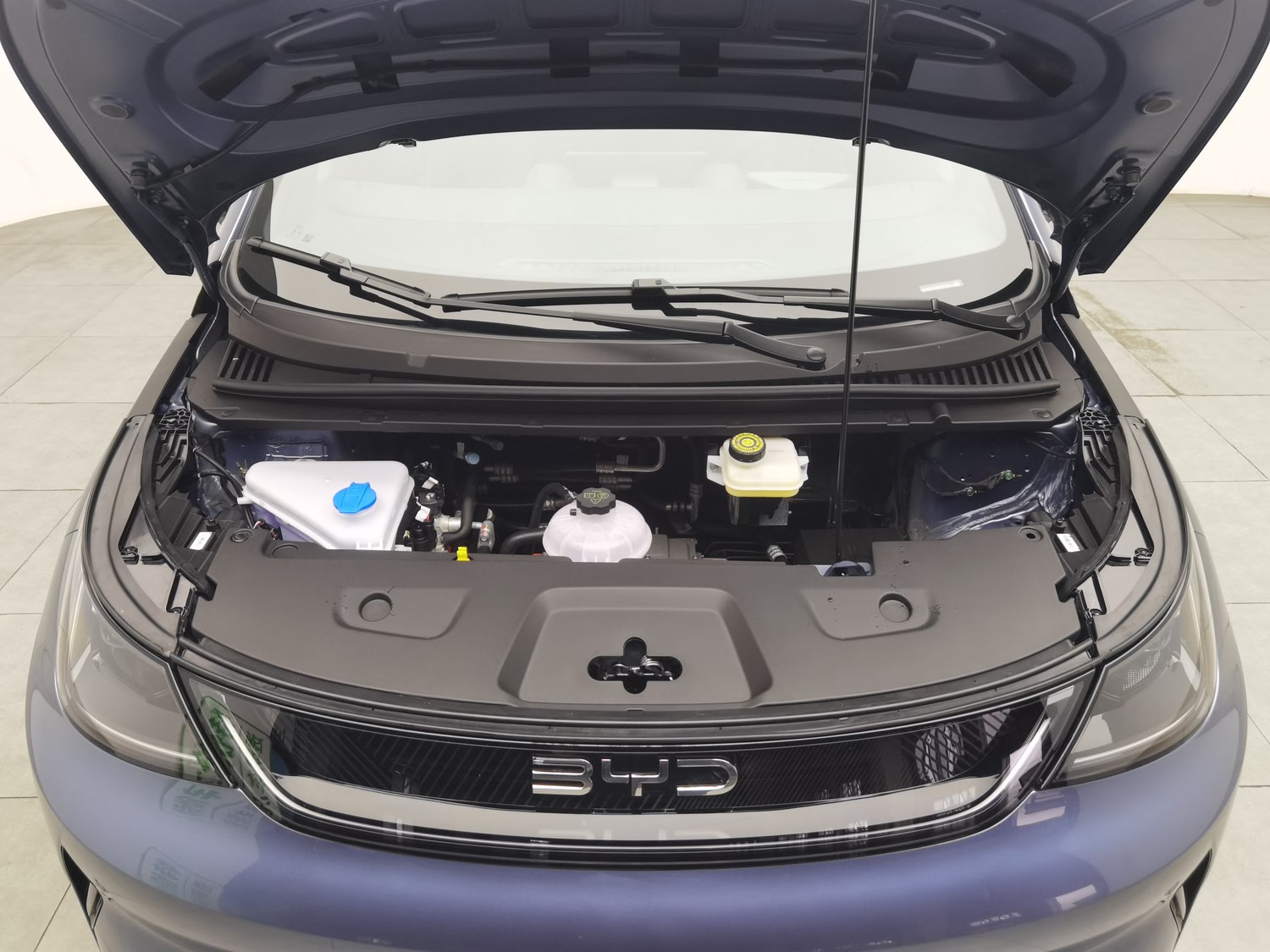 Used BYD Dolphin 2025