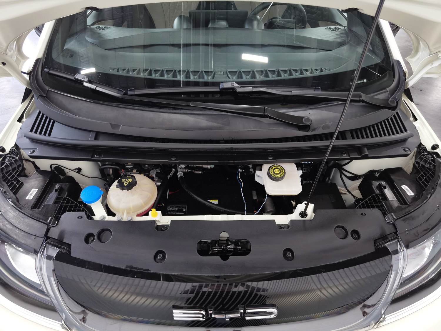 Used BYD Dolphin 2021