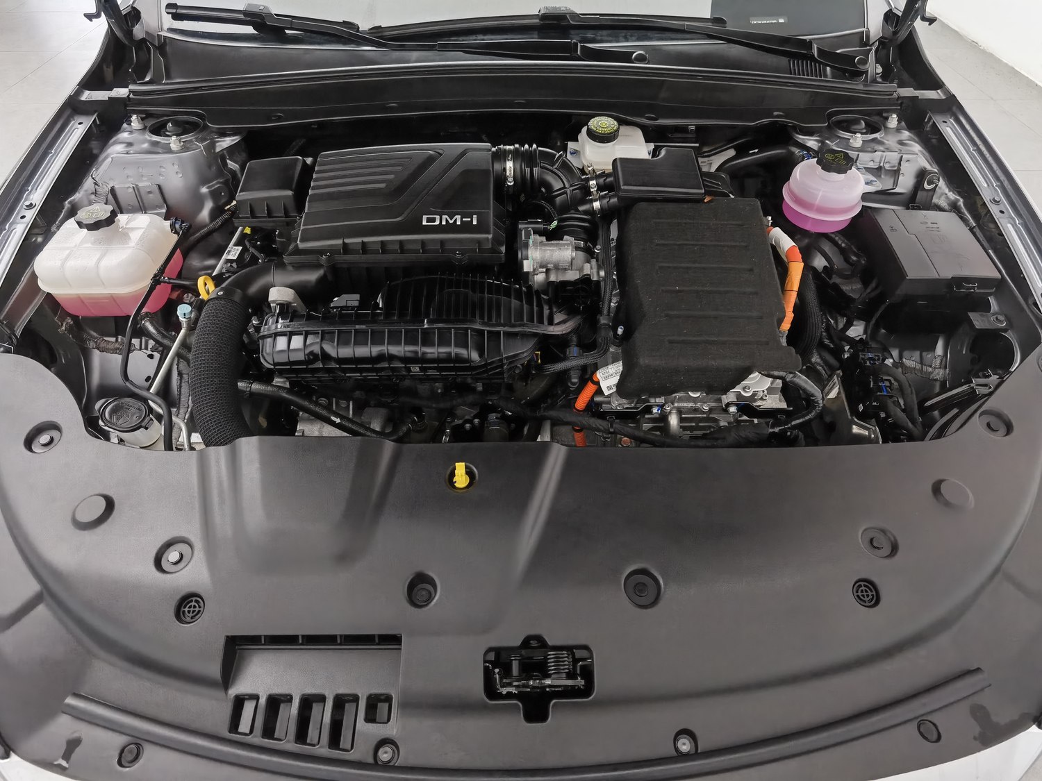 Used BYD Qin PLUS 2024 1.5 AT