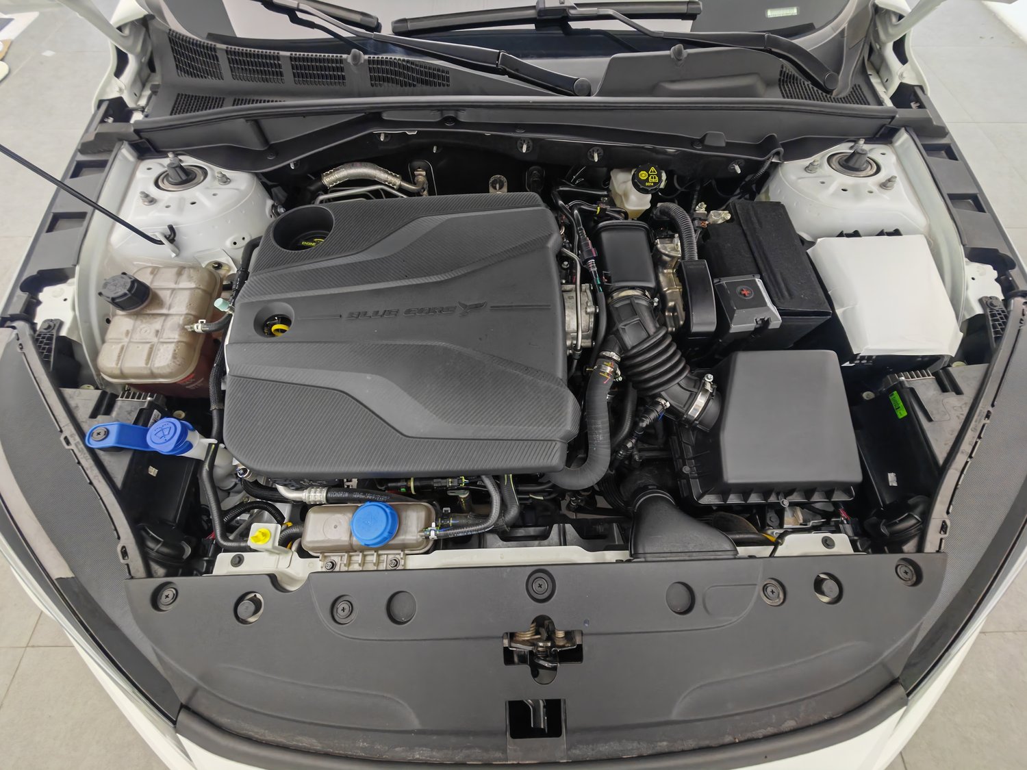 Used Changan Eado 2024 1.5 AT