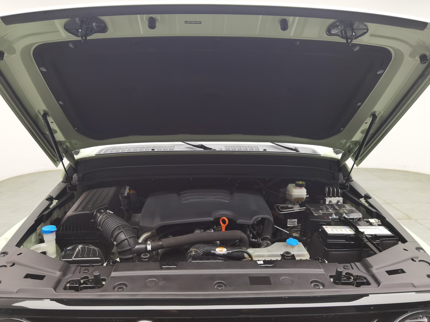 Used Tank 300 2021 2.0 AT