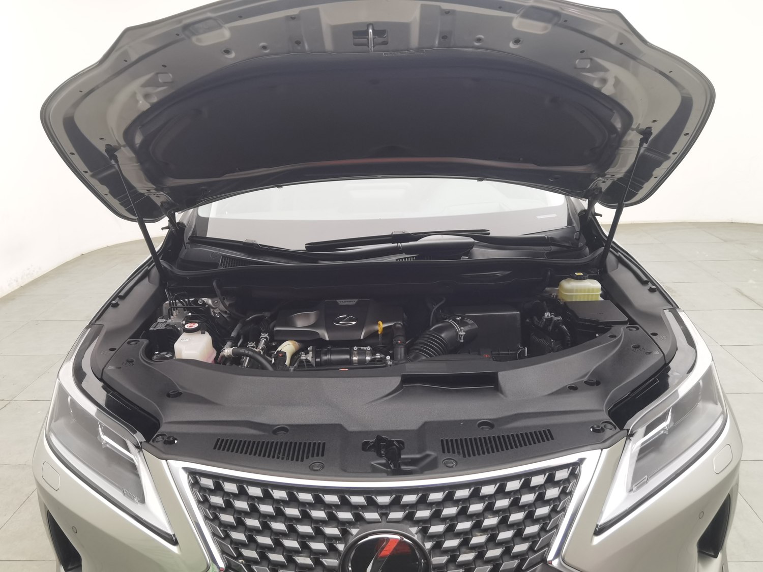 Used Lexus RX 2020 2.0 AT