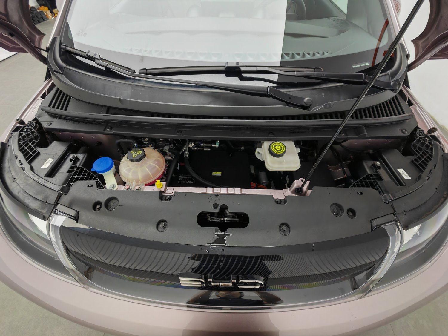 Used BYD Dolphin 2023