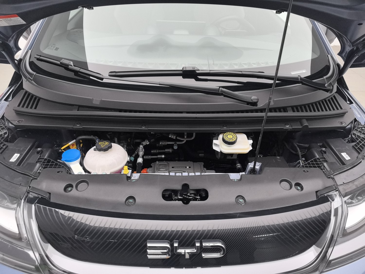 Used BYD Dolphin 2025