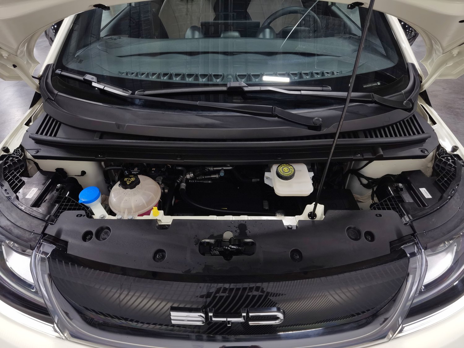 Used BYD Dolphin 2023