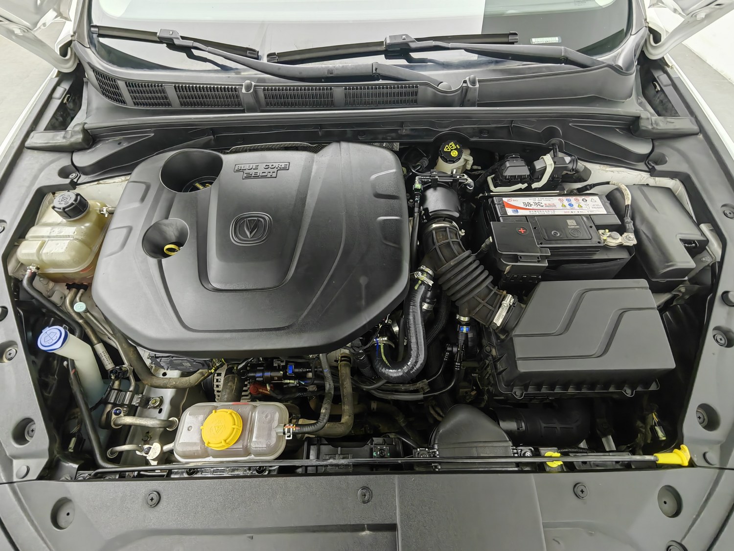 Used Changan Eado 2020 1.4 AT