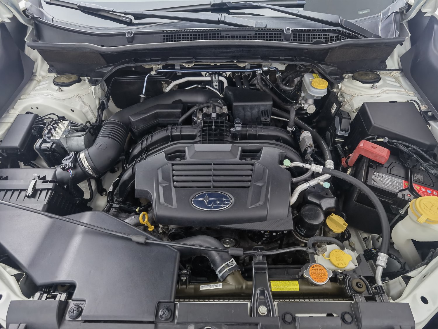 Used Subaru Forester 2019 2.0 AT