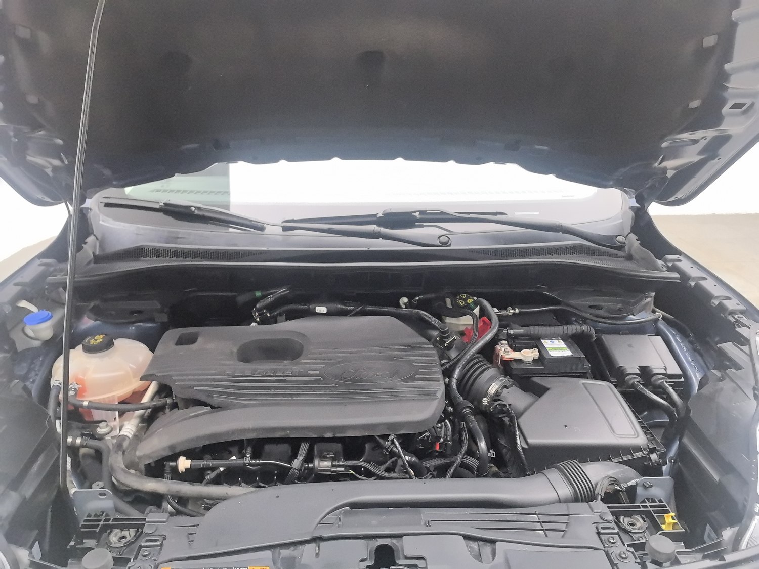 Used Ford Escape 2020 2.0 AT