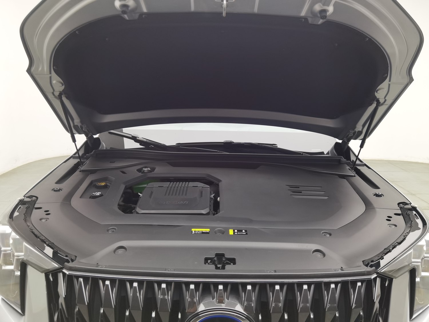Used GAC Trumpchi ES9 2024 2.0 AT