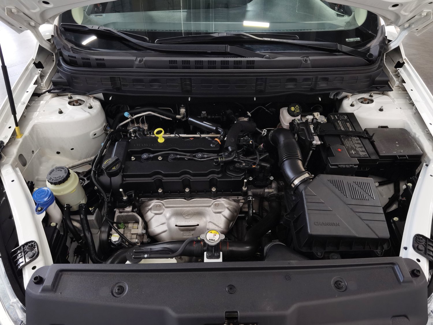 Used Changan Eado DT 2019 1.6 MT
