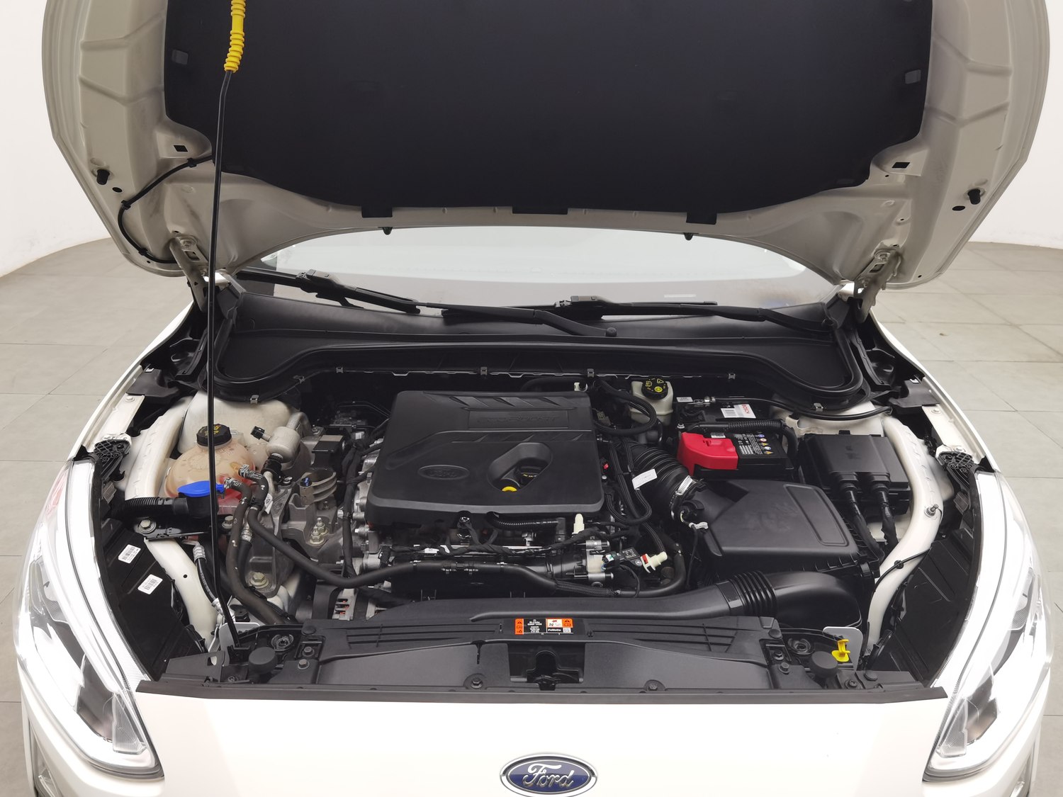 Used Ford Focus 2019 1.5 AT