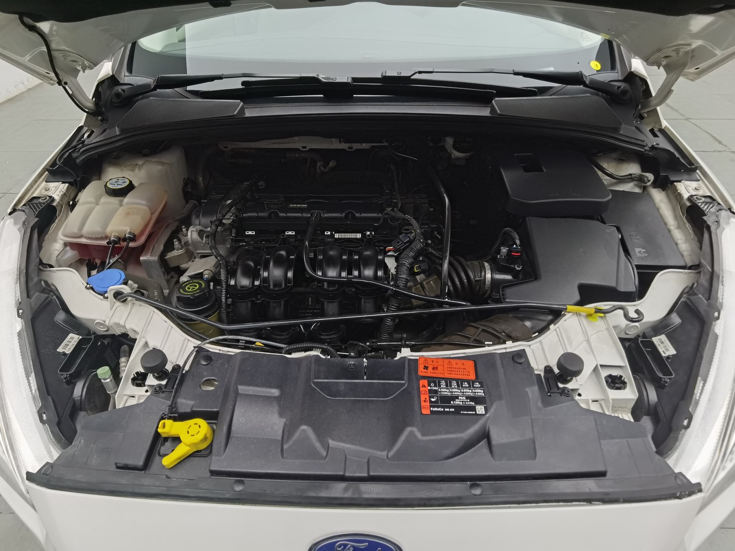 Used Ford Focus 2017 1.6 MT