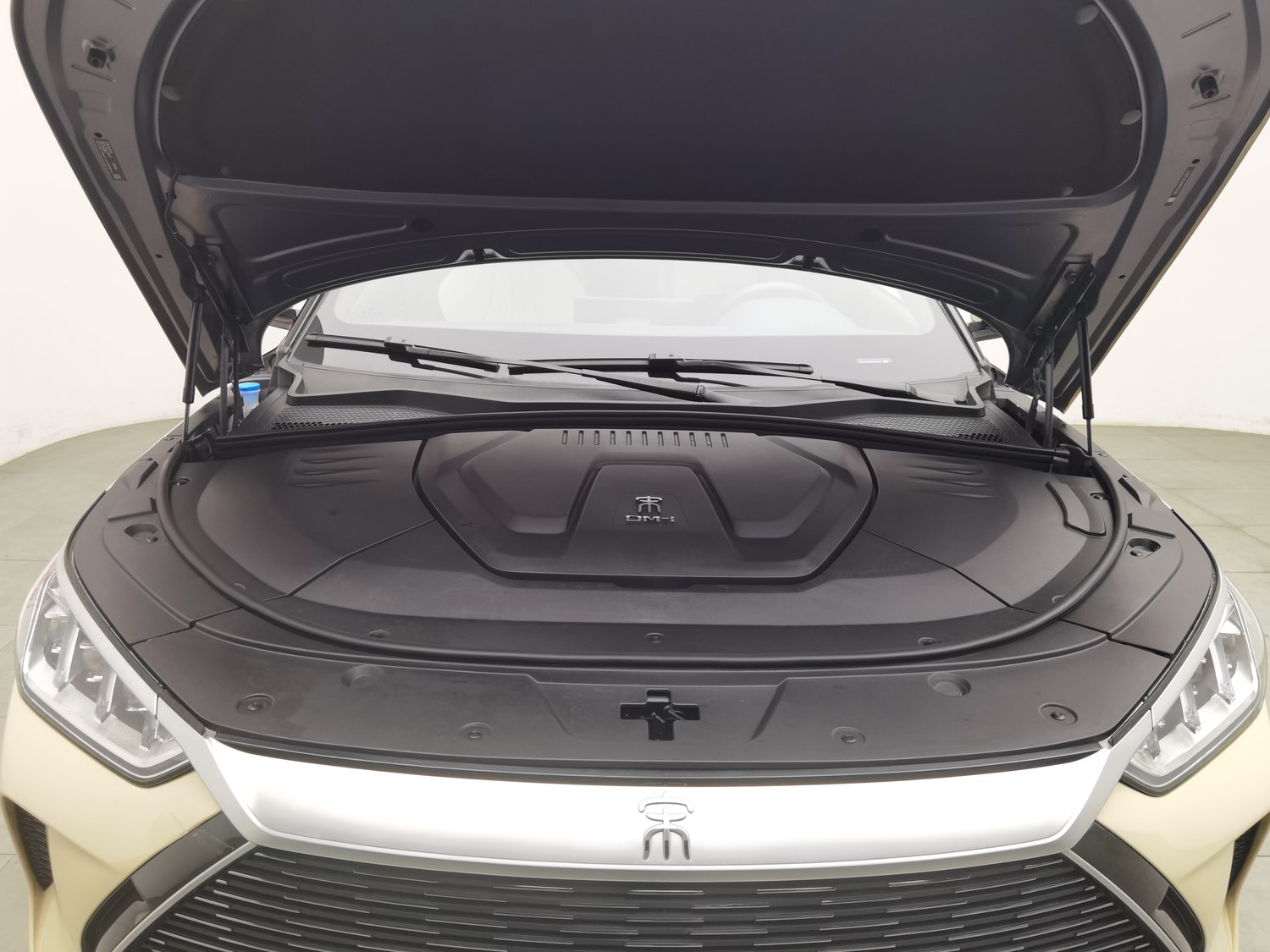 Used BYD Song PLUS NEV 2021 1.5 AT